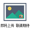 HEK293-L人胚腎細胞